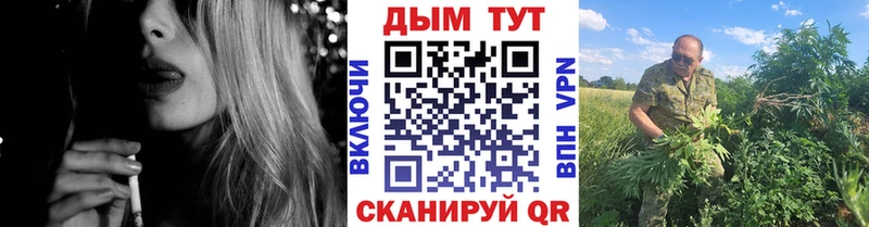 Бошки Шишки план  цена   Магас 